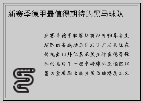 新赛季德甲最值得期待的黑马球队